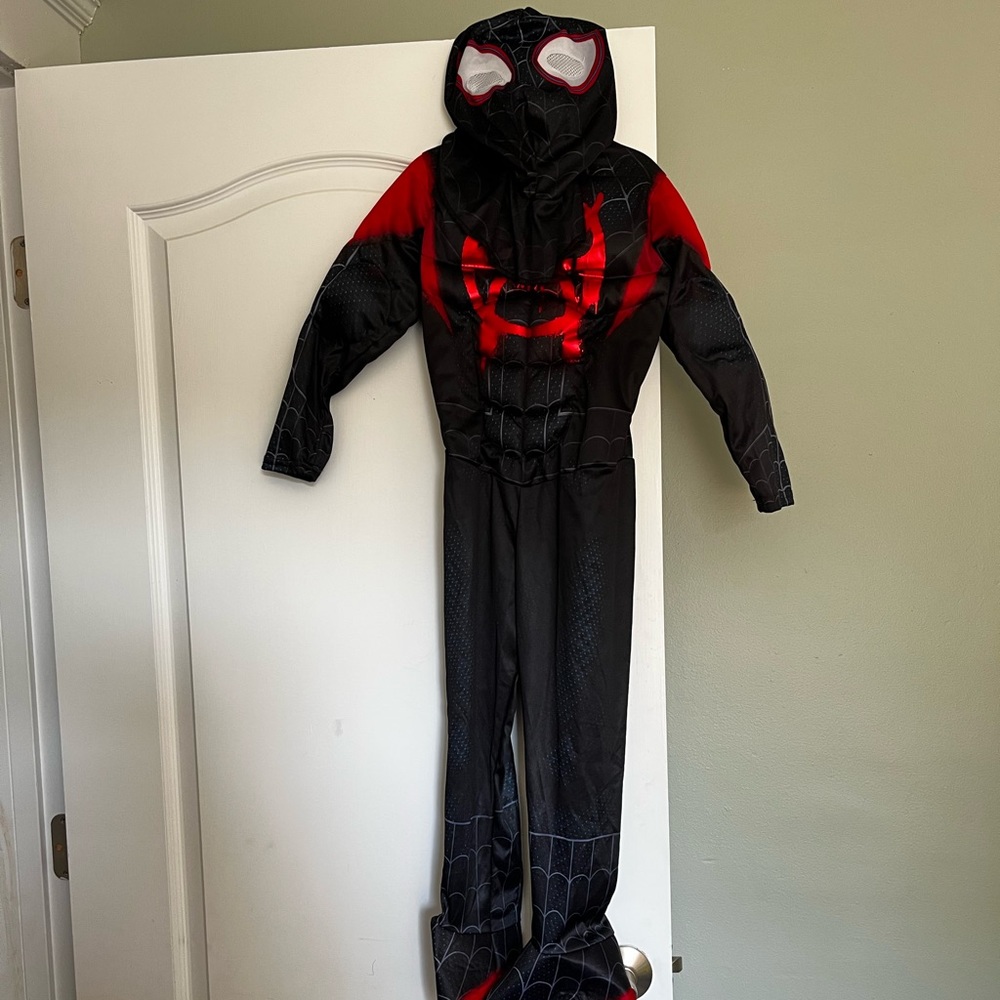 Spider man into the universe costume
